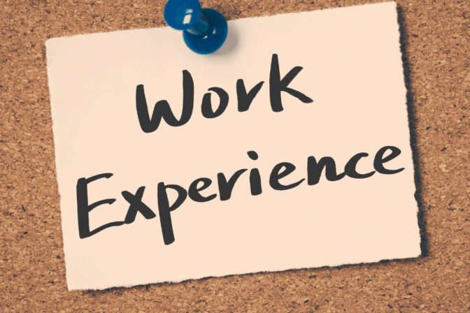 Work Experience
